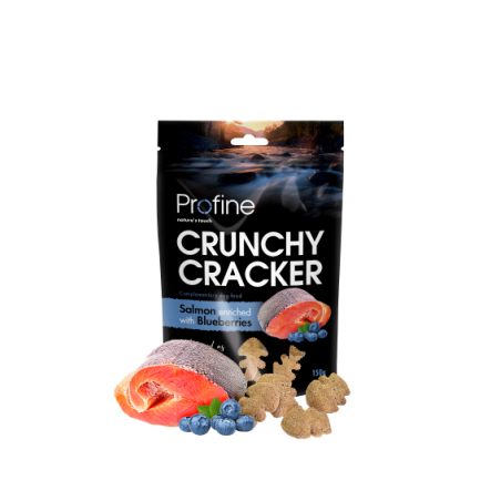 Crunchy Crackers - Zalm met bosbessen