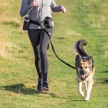 Heupriem voor joggen met de hond