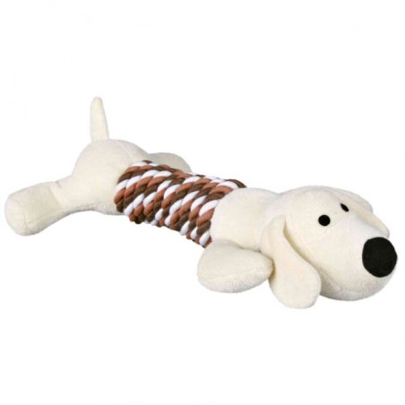 Hond met touw